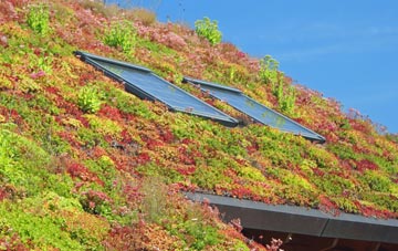 Meifod living roof systems